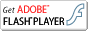 ADOBE READER