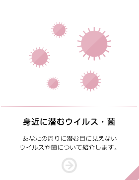 身近に潜むウイルス・菌 あなたの周りに潜む目に見えないウイルスや菌について紹介します。