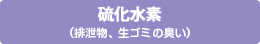 硫化水素 (排泄物、生ゴミの臭い)