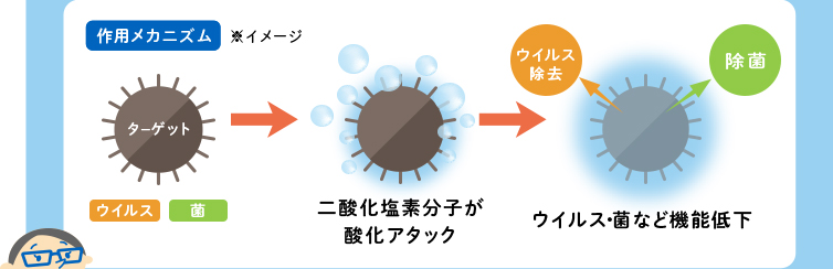 作用メカニズム※イメージ ターゲット ウイルス 菌 二酸化塩素分子が酸化アタック ウイルス除去 除菌 ウイルス・菌など機能低下