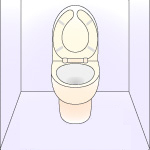 Disinfection around toilets