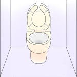 Disinfection around toilets