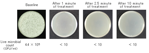 Experiment data of fungus H