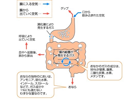 なら 整腸剤 お