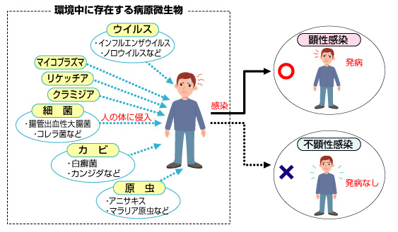 感染源とは