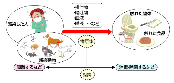 感染源について