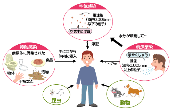 感染経路について