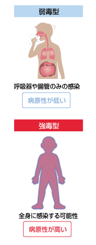 大きな健康被害