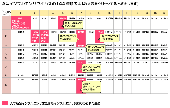 A型インフルエンザウイルスの144種類の亜流