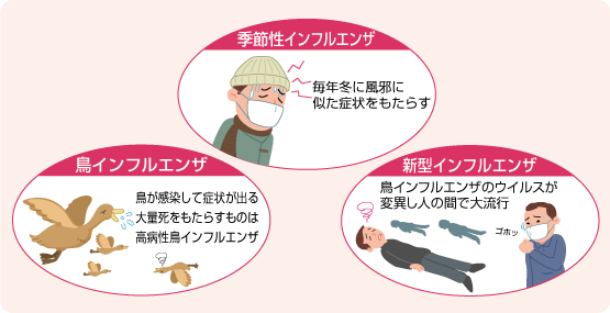 インフルエンザ 症状 鳥 鳥インフルエンザについて