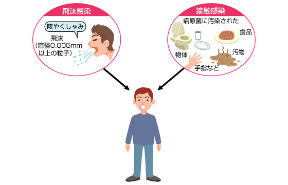 主な感染経路は