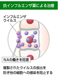 抗インフルエンザ薬による治療