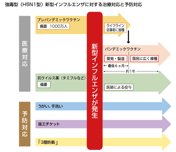 強毒型（H5N1型）新型インフルエンザに対する治療対応と予防対応