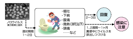 ノロウイルス感染症の症状 これからの衛生管理 大幸薬品株式会社