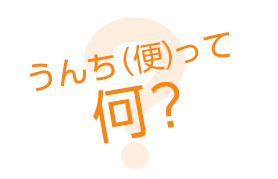 うんち（便）って何？