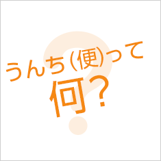 うんち（便）って何？