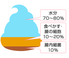 うんちの成分