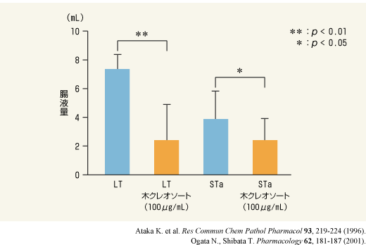 毒素原性大腸菌産生毒素（LT、STa）による水分分泌亢進に対する木クレオソートの作用