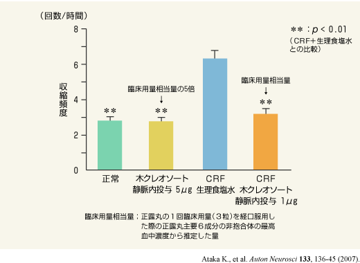 ストレス性の大腸蠕動運動亢進に対する木クレオソートの効果