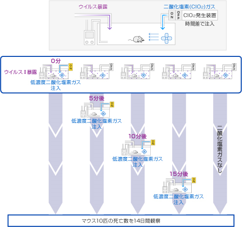 ウイルスＩ に対する実験データ