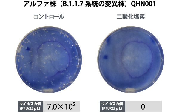 アルファ株（B.1.1.7系統の変異株）QHN001