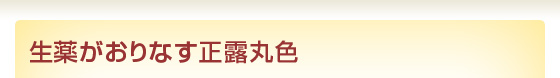 生薬がおりなす正露丸色