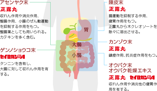 生薬の作用について