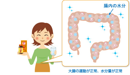 大腸の運動が正常、水分量が正常