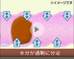 水分分泌の亢進による下痢