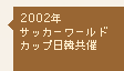 2002年 サッカーワールドカップ日韓共催