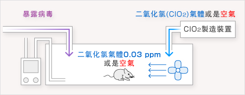 病毒I的實驗數據