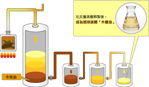 木餾油的形成