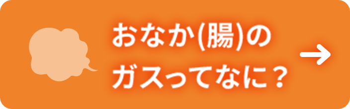 おなかのガスってなに？