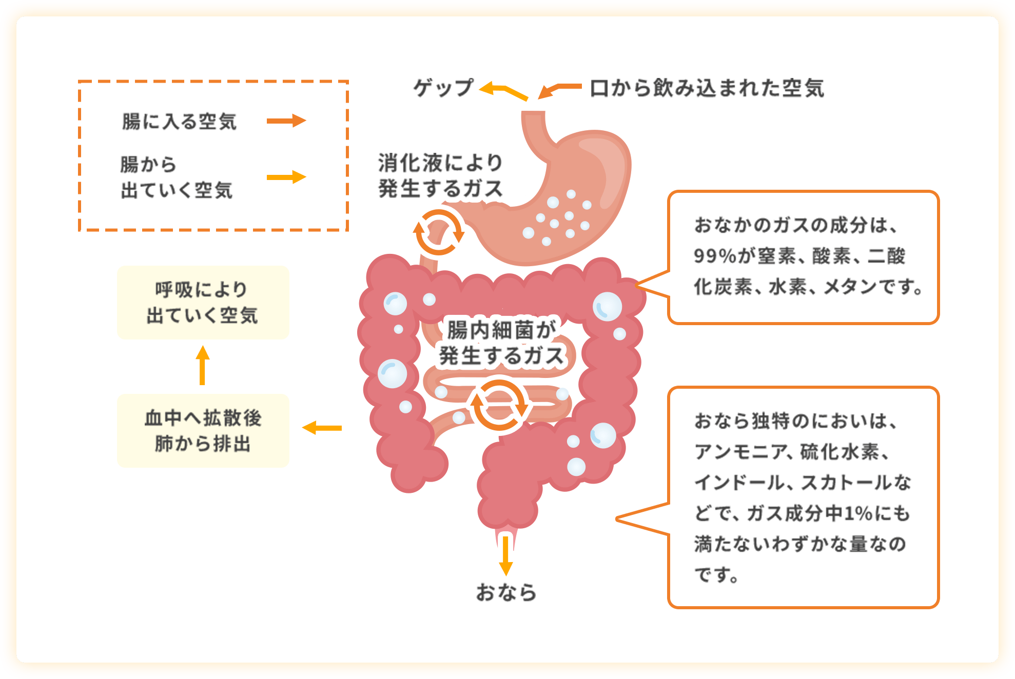 解説図