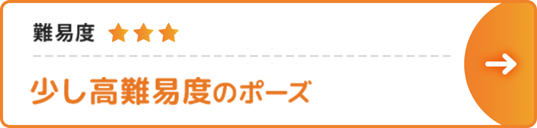 少し高難易度のポーズ