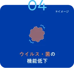 ウイルス・菌・カビの機能低下