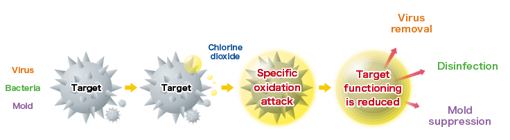 Safety and Efficacy of Chlorine Dioxide Gas