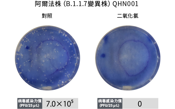 阿爾法株（B.1.1.7變異株）QHN001